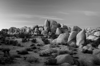 Joshua Tree Rock Formations in Black and White 4