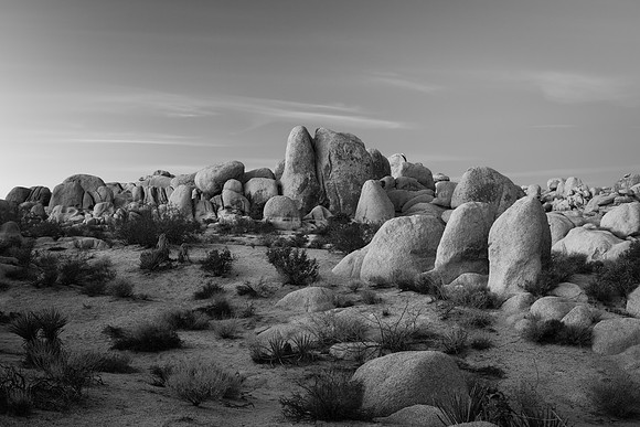 Joshua Tree Rock Formations in Black and White 4