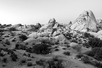 Joshua Tree Rock Formations in Black and White 2