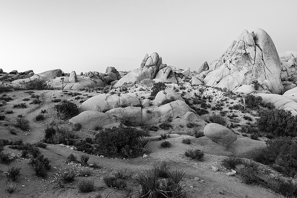 Joshua Tree Rock Formations in Black and White 2