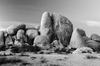 Joshua Tree Rock Formations in Black and White 5