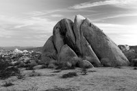Joshua Tree Rock Formations in Black and White 3