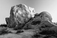 Joshua Tree Rock Formations in Black and White 1