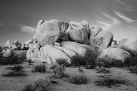 Joshua Tree Rock Formations in Black and White 7