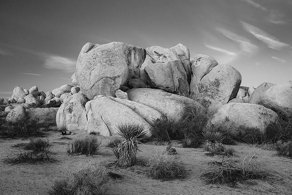 Joshua Tree Rock Formations in Black and White 7