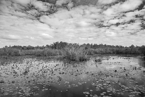 Everglades