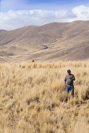 Peruvian Man in a Field