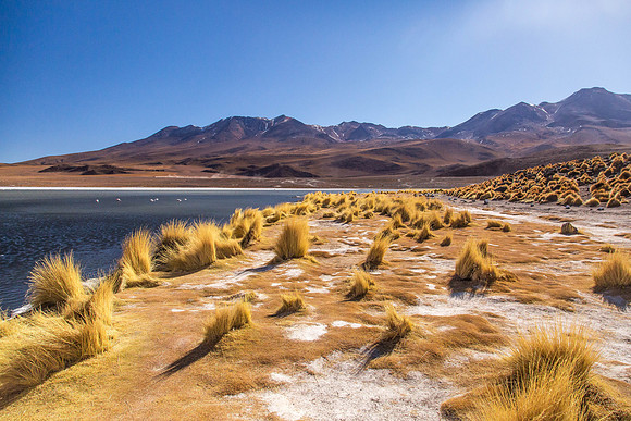Laguna Cañapa, Bolivia