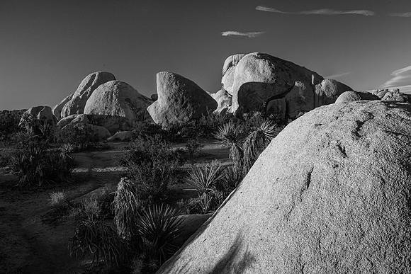 Joshua Tree NP 2022
