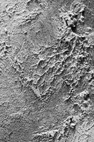 Ridges
