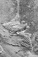 Excavation